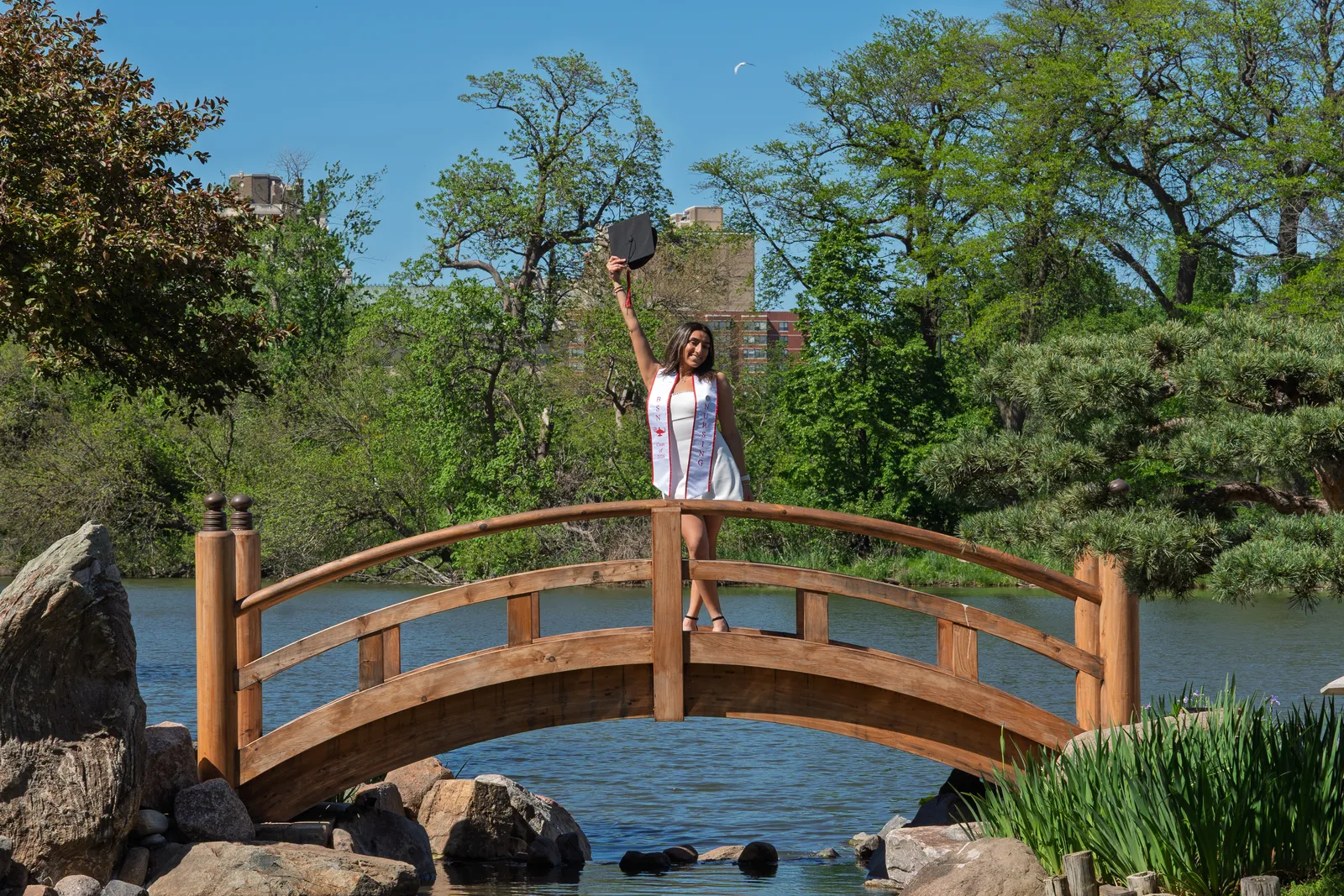 Graduate on a garden bridge